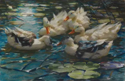 Fünf bunte Enten in blauem Seerosenwasser by Александр Кёстер, 1909 — digital art print download