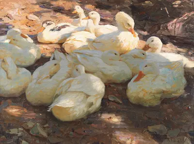 Liegende Enten – Licht und Schatten by Александр Кёстер — digital art print download