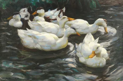 Sechs Enten im Wasser, by Александр Кёстер — digital art print download