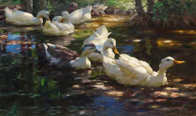 Sieben Enten im schattigen Waldteich by Александр Кёстер, 1910 — digital art print download
