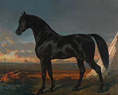 Cheval Noir Au Palmier by Альфред Де Дрю — digital art print download