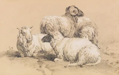 Four sheep by Benno Raffael Adam — digital art print download