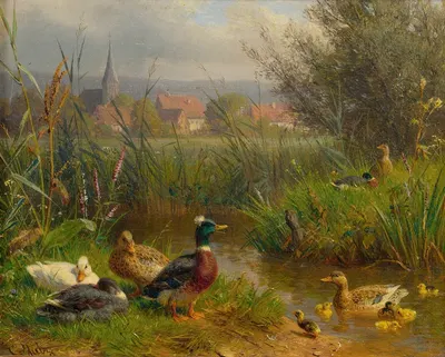 Ducks by Carl Jutz — digital art print download