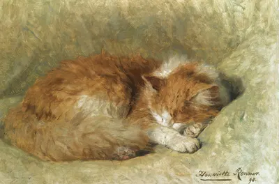 A sleeping cat by Анриэтта Роннер-Книп, 1898 — digital art print download