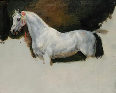 Study of a white horse by Гораций Верне — digital art print download