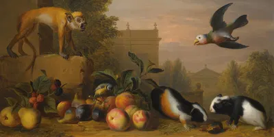 An Extensive Landscape With A Capuchin Squirrel Monkey, Two Guinea Pigs, A Blue Tit And An Amazon St. Vincent Parrot by…