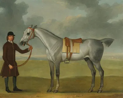 Mr. Thomas Panton's Crab, A Grey Racehorse, Being Held By A Groom On Newmarket Heath by Джеймс Сеймур, 1752 — digital art…