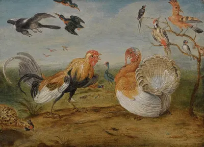 A Landscape With A Cockerel And A Turkey Squabbling, And Other Fowl by Ян Ван Кессель Старший, 1663 — digital art print…