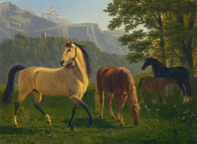Pferde Vor Landschaft Horses In Landscape by Иоганн Якоб Бидерман — digital art print download