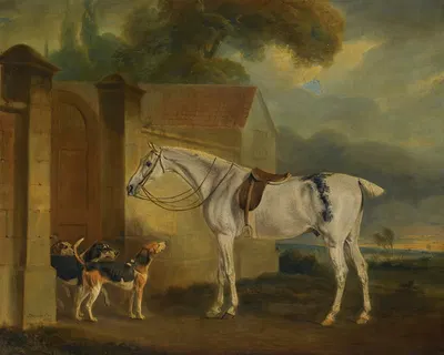 Lord Lonsdale's Fleabitten Grey Hunter, Brass, At Cottesmore With The Cottesmore Hounds by Джон Фернли, 1818 — digital art…