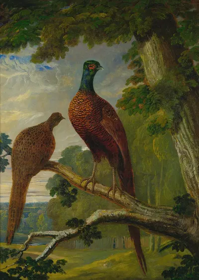 A Pheasant Cock And Hen by Джон Фредерик Херринг-старший, 1825 — digital art print download