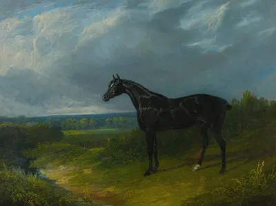 Black Hunter In A Landscape by Джон Фредерик Херринг-старший — digital art print download