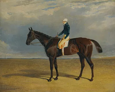 Margrave, A Liver Chestnut Racehorse With Jockey James Robinson Up, At Doncaster by Джон Фредерик Херринг-старший, 1833 —…