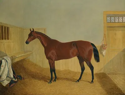 Mr William Orde's Bay Filly Beeswing In A Stable by Джон Фредерик Херринг-старший, 1842 — digital art print download