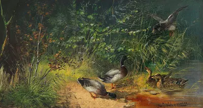 Enten am Teich by Julius Scheuerer — digital art print download