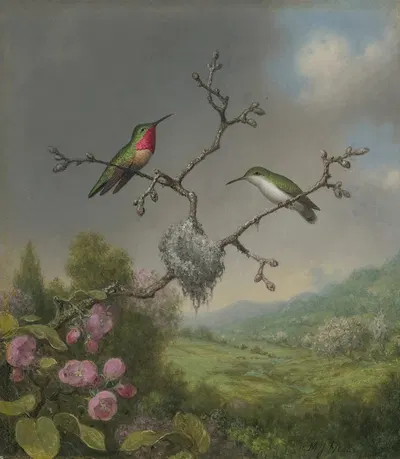 Hummingbirds and apple blossoms by Мартин Джонсон Хид — digital art print download