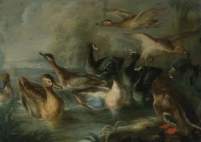 Ducks on the pond by Неаполитанская школа — digital art print download