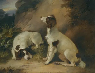 Two springer spaniels in a rocky landscape by Richard Livesay, 1804 — digital art print download