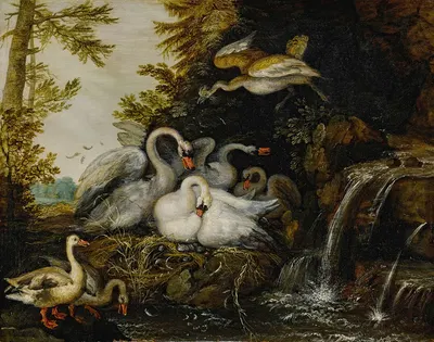 Landscape with swans near a waterfall by Роелант Савери — digital art print download