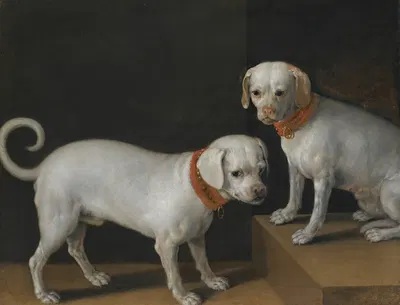 Two dogs with red collars by Tiberio Titi — digital art print download