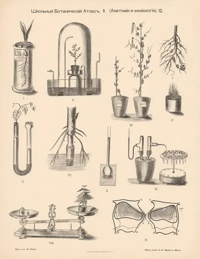 Various experiments by Alexander-Paul Henckel, 1905 — digital art print download