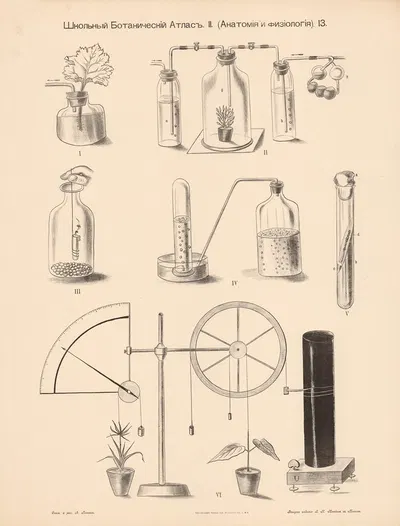 Experiments with oxygen;carbon dioxide by Alexander-Paul Henckel, 1905 — digital art print download