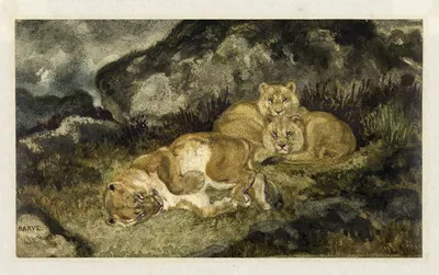Lioness and Cubs by Антуан-Луи Барье, c. 1832 — digital art print download