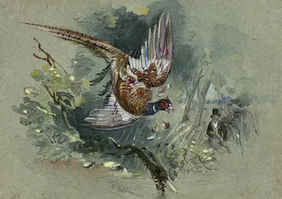 Pheasant and Hunter by Чарльз Б. Ньюхаус, 1825-1877 — digital art print download