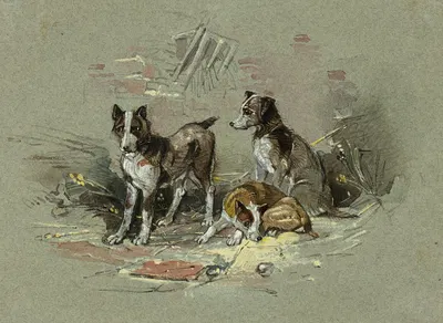 Three Dogs in an Alley by Чарльз Б. Ньюхаус, 1825-1877 — digital art print download