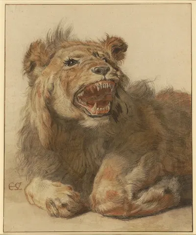A Lion Snarling by Cornelis Saftleven, 1625–1633 — digital art print download