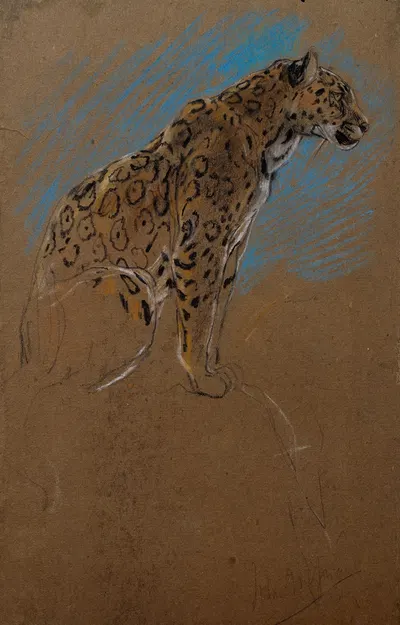 Study of a Jaguar by Джон Макадлан Суон, 1874–1910 — digital art print download