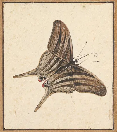 A Butterfly by Nicolaas Struyk — digital art print download
