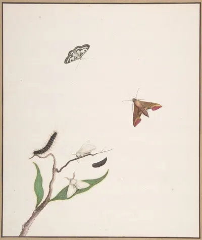 A Caterpillar and Two Moths on a Branch and Two Butterflies by Nicolaas Struyk — digital art print download
