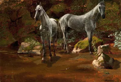 Study of Wild Horses by Albert Bierstadt — digital art print download