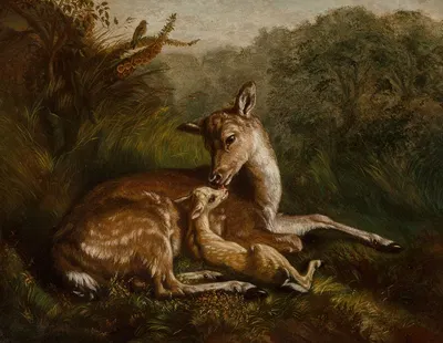 Deer and Fawn by Arthur Fitzwilliam Tait, 1870 — digital art print download