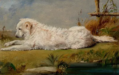 The Family Dog by Конрад Уайз Чэпмен, 1860 — digital art print download