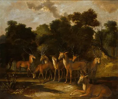 Stags and a hind by a pool in a forest clearing by Голландская школа — digital art print download