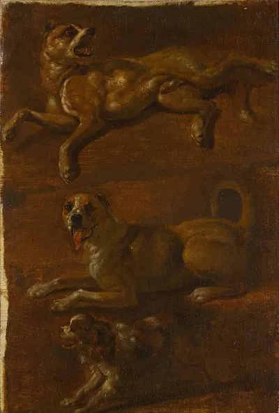 Three studies of dogs by Голландская школа — digital art print download