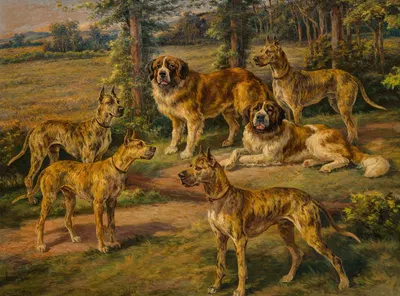 Harold Lloyd's Dogs by Эдмунд Генри Остхаус, c. 1924 — digital art print download