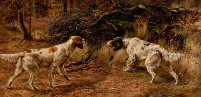 Two Setters on Point by Эдмунд Генри Остхаус — digital art print download