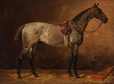 Grauer Schimmel im Stall by Эмиль Волькерс, 1909 — digital art print download