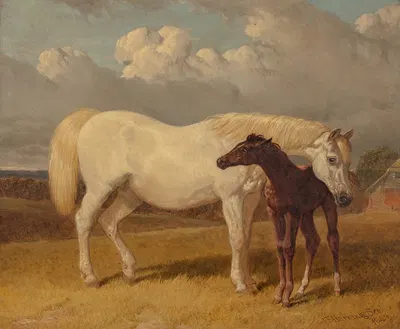Mare and foal by Джон Фредерик Херринг-старший, 1854 — digital art print download