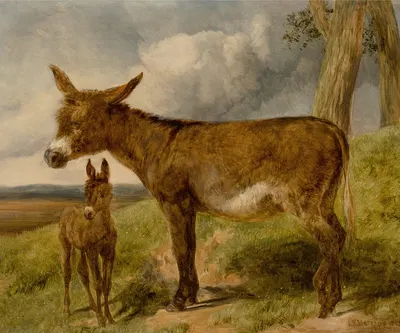 Donkeys by Джон Фредерик Херринг-старший, 1852 — digital art print download