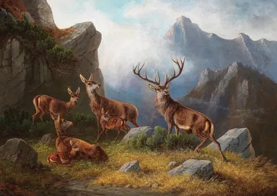 Hirsch und Rehwild im Gebirge by Мориц Мюллер — digital art print download