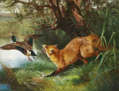 En ræv på jagt efter en gråand by Адольф Маккепранг — digital art print download