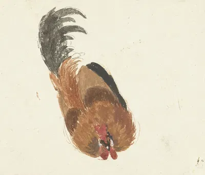 Studie van een dode haan by Аерт Шоуман, 1720 - 1792 — digital art print download