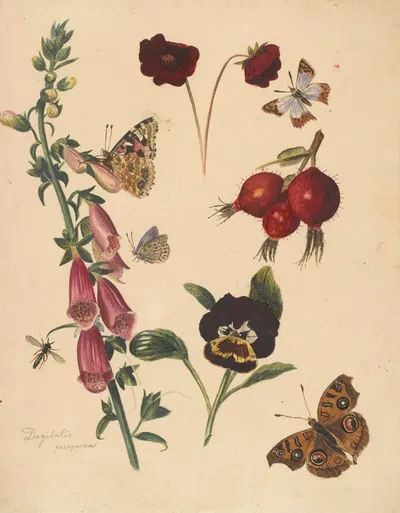 Studieblad met bloemen en vlinders by Albertus Steenbergen, 1824 - 1900 — digital art print download
