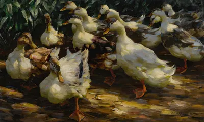 Ducks in Sunlight by Александр Кёстер — digital art print download