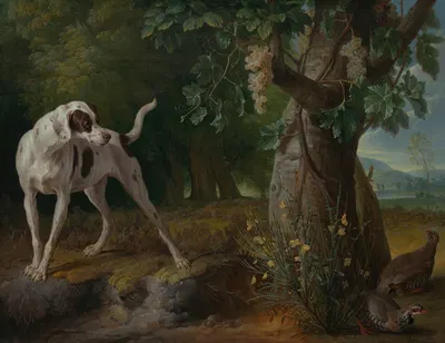Dog Pointing Partrideges in a Landscape by Александр Франсуа Деспор, 1719 — digital art print download