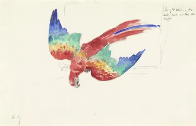 Parrot Looking Down by Александр Люноа, 1873 - 1916 — digital art print download